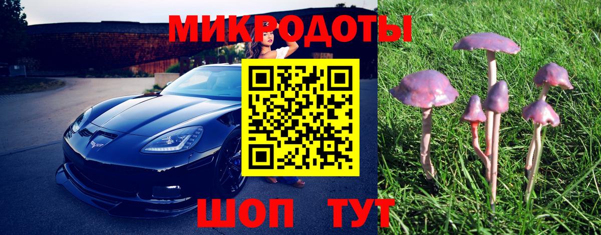 Серпухов  Галлюциногенные грибы Psilocybe  Вход с VPN 